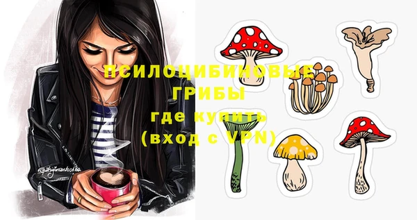 молекула духа Алексеевка