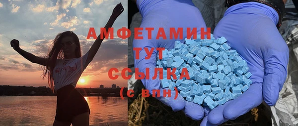 молекула духа Алексеевка